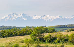 Les Pyrénées vues dans la montée sur Montferrand: le Massif de Tabe (Pic de Soularac et Saint Barthélémy)