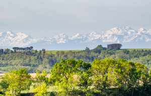 Les Pyrénées vues dans la montée sur Montferrand: La Pique d'Estats