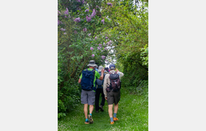 Entrée dans Montferrand