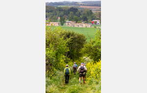 Descente vers l'église St Pierre d'Alzonne