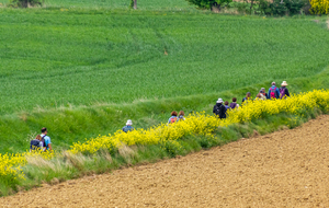 Descente vers l'église St Pierre d'Alzonne