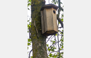 Bords du Canal du Midi: Nichoir isolé sur un arbre!
