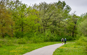 Bord du Canal retour vers Avignonet-Lauragais