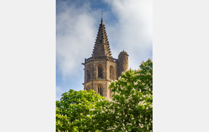 Avignonet-Lauragais: clocher de l'église Notre Dame des Miracles