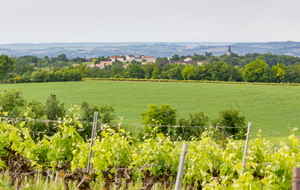 Vue  vers plein sud : Castanet