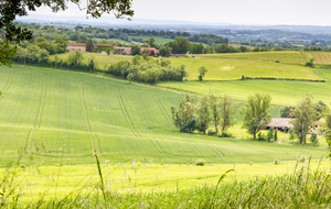Sur le PR  vue vers le sud