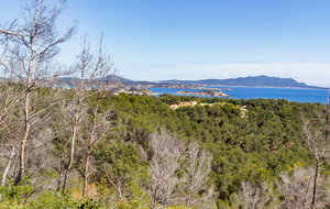 Baie de Bandol et l'ile de Bendor