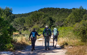 Montée vers le Mont de Luminy