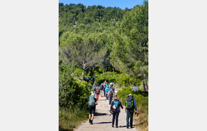 Montée vers le Mont de Luminy