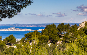 Dans la montée vue sur les iles du Frioul (Ile Pomègues). En arrière plan la chaine de l'Estaque et la Côte Bleue.