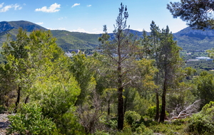 Dans la montée vue sur les Monts de la Gineste (à gauche) et les  Monts de la Gardiole (à droite) au de l'université