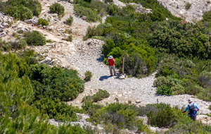 Fin du  sentier des crêtes de Morgiou, col du Renard (86m)