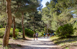 Retour au domaine de Luminy  par le sentier découverte