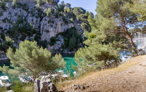 Fond de la calanque GR 51 - GR 98. (rive droite)