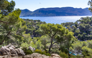 En arrière plan les falaises de Cassis