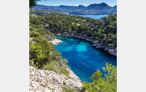 La calanque de Port Pin, la baie Cassis, en arrière plan et de gauche à droite le Montounier, la Couronne de Charlemagne et Bau de la Saoupe (342 m)