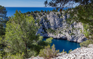 Entrée de la calanque d'En Vau vue de sa rive gauche et en face le Plateau de Castel Vieil