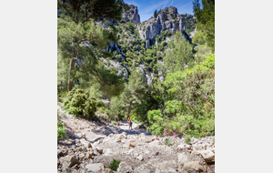 Bas de la descente dans la calanque dominé par ses falaises impressionnantes