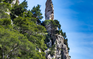 Aiguille de la rive gauche