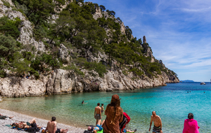 Plage de la calanque d'En Vau, falaises rive gauche.