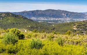 Au second plan, de gauche à droite : le Mont Lantin, le Mont Carpiagne (645m), le Mont Saint Cyr