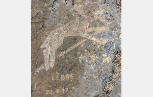 Une des dernires gravures sur les lapiaz (Calcaires) de Louis Douard.