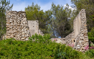 Ruine de la ferme d'Angèle (tournage du film " Angèle")