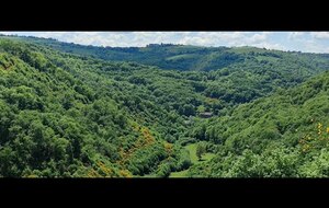 81 - Bonneval, St-André, retour par le bord du Tarn