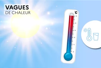 31 - Autour de Cintegabelle
