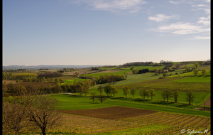 81 - Cahuzac-sur-Vère