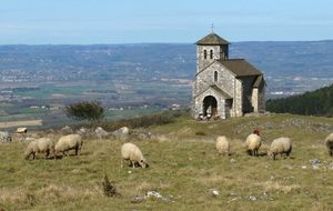 81 - Autour de Dourgne