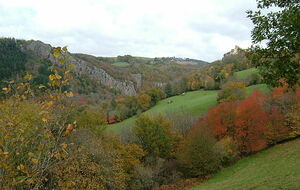 81 - Sentier du chevreuil