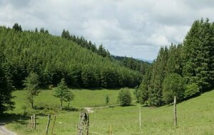 81 - Plateau d'Anglès - Lac de la Raviège