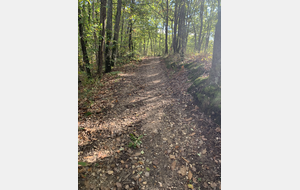 81 - Boucle du grand bois de Mézens - au départ de Buzet sur Tarn