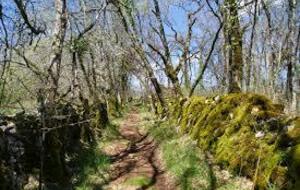 82 - Entre murs et pierres sèches - St Antonin Noble Val