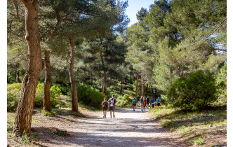 Retour au domaine de Luminy  par le sentier découverte