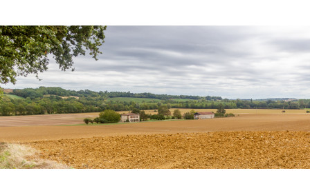 Direction nord-ouest vers Mauvezin