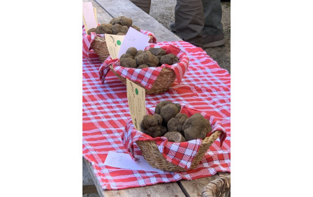 Paniers après la pesée
