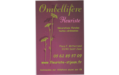 Ombellifère