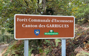 81 - D'Escoussens à la cascade de Mouscaillou