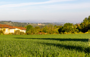 31 - (11) - Avignonet, Montferrand, Port Lauragais en boucle
