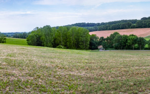 81 -  Sur les traces des moines Cisterciens autour de Castanet