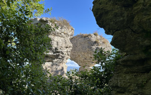 11 - Floure-Chateau de  Miramont-Alaric