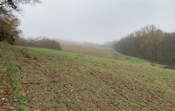 31 - Circuit des côteaux sud de Toulouse