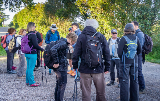 31 - (11) - Avignonet, Montferrand, Port Lauragais en boucle