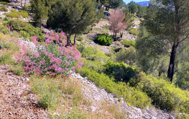 Séjour Bandol : quelques clichés
