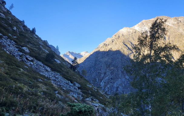 Les 4 étangs du Picot